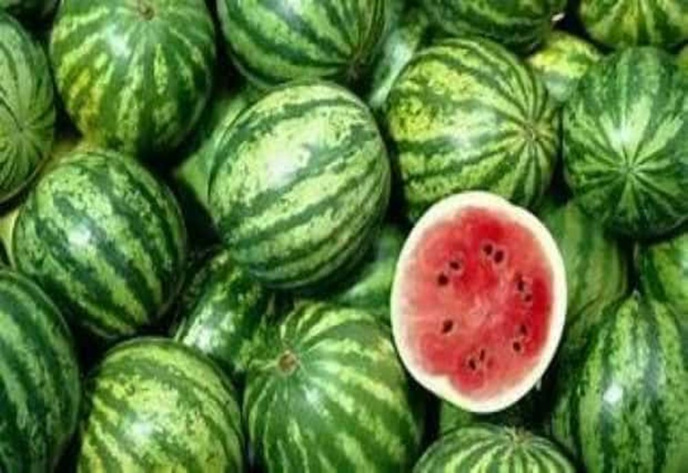 ROMÂNIA ŞI UNGARIA SE LUP­TĂ PENTRU SUPREMAȚIA PEPENILOR ÎN EUROPA