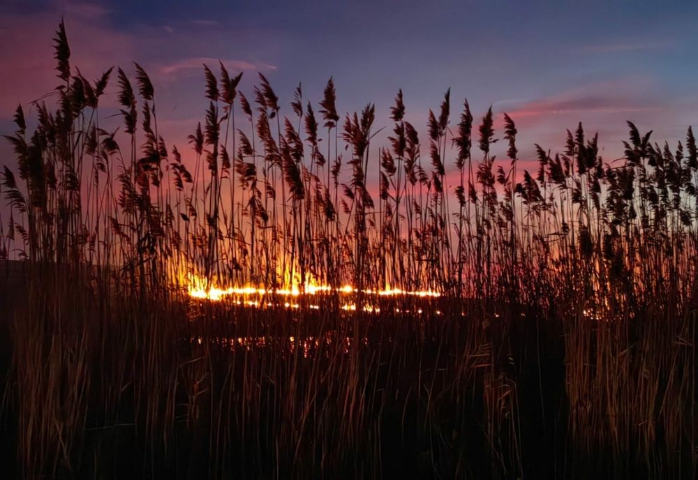 FRANŢA SE LUPTĂ CU CEL MAI MARE INCENDIU DE VEGETAŢIE DIN ACEASTĂ VARĂ