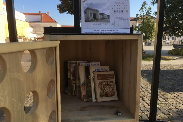 Proiectul ,,Biblioteca urbană” cerut de comunitatea din Alba Iulia