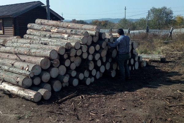 Scutul Pădurii: Control la o firmă din localitatea Laz