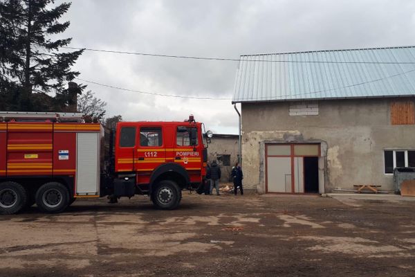 FOTO: Incendiu la un depozit de rumeguș din Alba Iulia