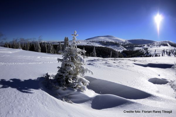 Condiții de schi remarcabile pe pârtiile din județul Alba!!!