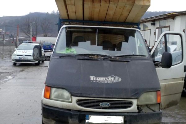 Bărbat din Cricău prins cu un transport de material lemnos tăiat ilegal