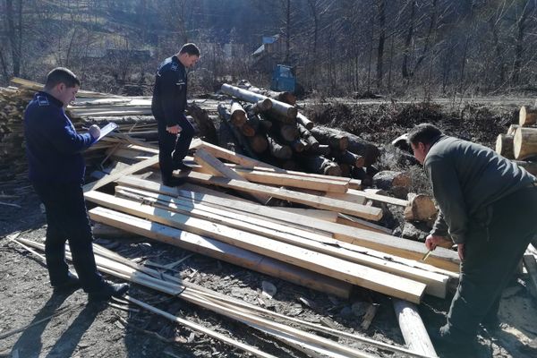 Pădurar din zona Munițiilor Apuseni cercetat penal