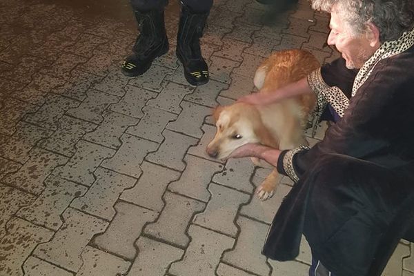 FOTO: Câine salvat dintr-o fântănă de pompierii din Alba Iulia