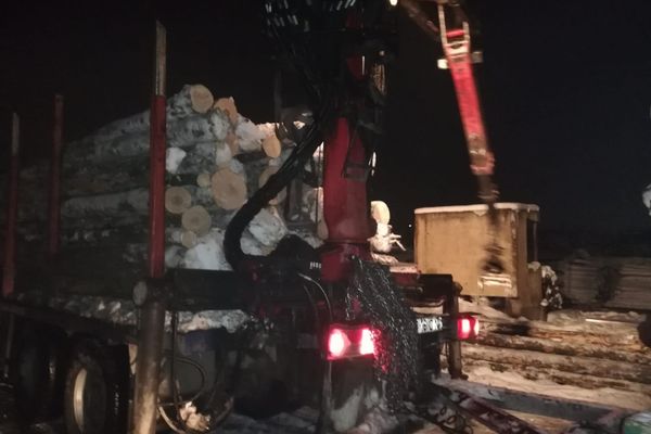 Acţiune pentru prevenirea şi combaterea delictelor silvice