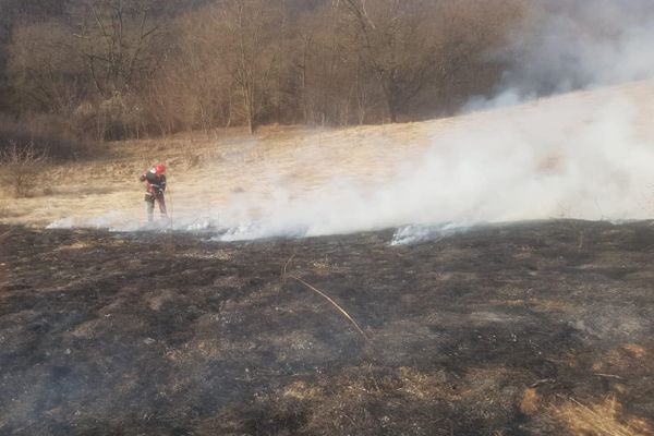 VIDEO: Incendiu de vegetație uscată pe strada Lalelelor din Alba Iulia