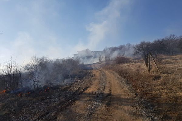 VIDEO: Incendiu de vegetație uscată în Alba Iulia