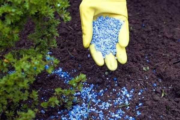 Patronul unei firme din Aiud este cercetat pentru depozitare necorespunzătoare