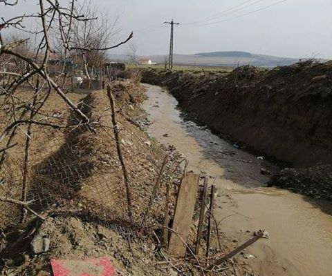 FOTO: Îndiguire de mântuială în localitatea Cricău