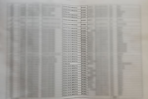 Peste 550 de mașini cu material lemnos transportat ” în familie” în doar doi ani de zile