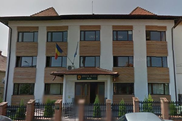 SCUTUL PĂDURII : Controale de mântuială la Ocoalele ”de casă” ale șefului Direcției Silvice Alba