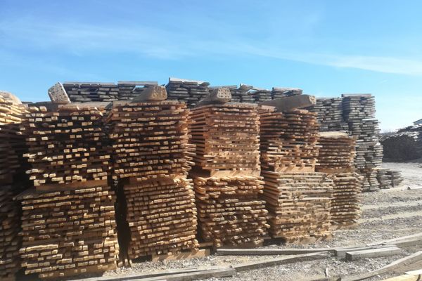 SCUTUL PĂDURII : Polițiștii din Alba au aplicat în doar două zile 227 de amenzi