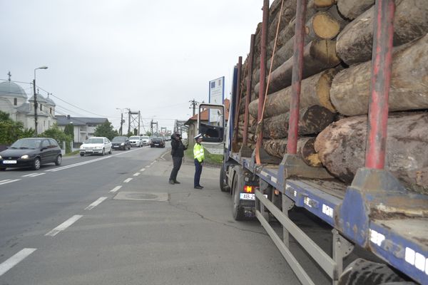 Acțiune de amploare a polițiștilor în domeniul silvic