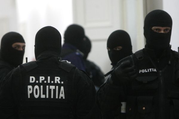 Percheziții de AMPLOARE la o firmă de curierat și la domiciliile unor angajați