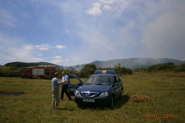 Albaiulian amendat pentru că a provocat un incendiu de vegetație