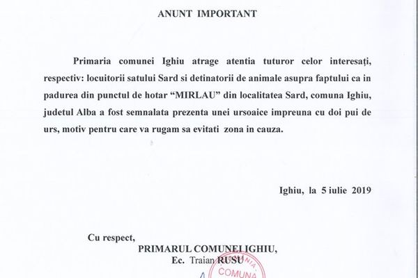 O ursoaică cu doi pui și-au făcut apariția în comuna Ighiu. Autoritățile avertizează populația
