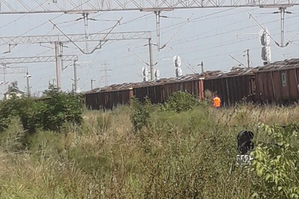 EXCLUSIV : Garnitură de tren plină cu material lemnos REȚINUTĂ în gara TEIUȘ