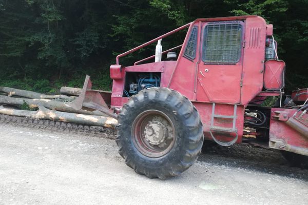 Bărbați cercetați pentru infracțiuni silvice