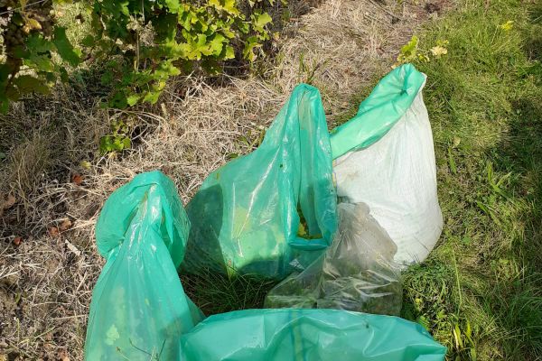 600 de kilograme de struguri confiscate de jandarmii albaiulieni