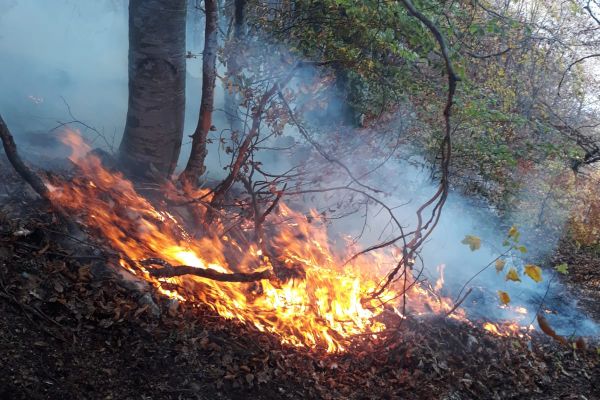 Un nou INCENDIU amenință pădurile județului Alba.  Ministerul Apărării intervine cu un avion SPARTAN.
