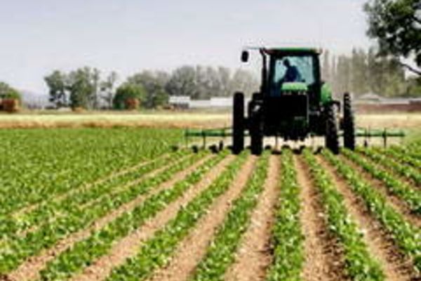 Stadiul plăților în avans pentru campania 2019, la APIA !