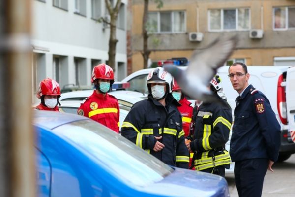 Controale la prestatorii de servicii pentru deratizare, dezinfecție și dezinsecție