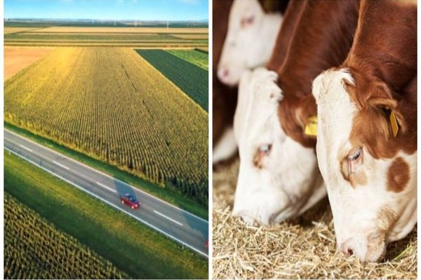 Ministerul Agriculturii propune eliminarea impozitului pe terenurile agricole pentru unii crescători de animale