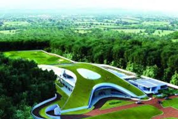 Orașe poluate, păduri defrișate, proiecte pe hârtie. Vrem sa oprim defrișările. Vrem o schimbare.