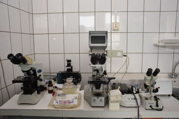 Alba : Contract de finanțare semnat de DSVSA  și CRFIR 7 Centru în vederea achiziționării de echipamente pentru diagnosticarea Pestei Porcine Africane