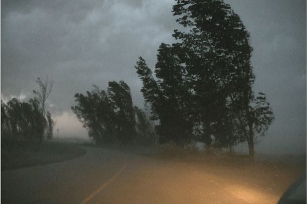 Cod Galben de vânt puternic pentru Nord - Estul județului Alba. Rafale de 55… 65 km/h.