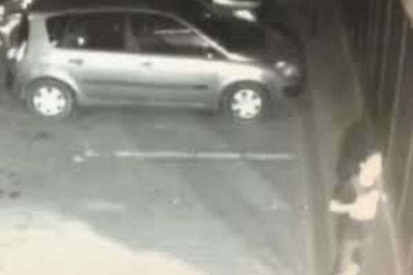 A fost necesară intervenția cu focuri de armă pentru prinderea unui hoț în Sebeș 