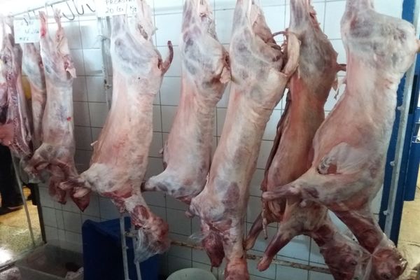 DSVSA Alba : Crescătorii de ovine își pot sacrifica mieii în abatoarele autorizate sanitar veterinar și pentru siguranța alimentelor 
