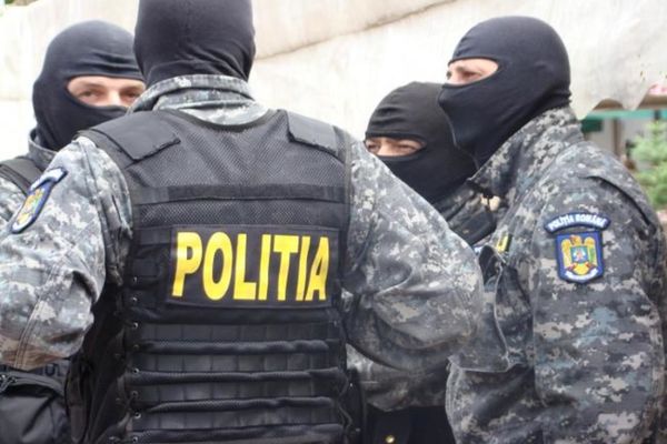 Percheziții la persoane bănuite de tăiere ilegală de arbori, furt de arbori și fals în înscrisuri 