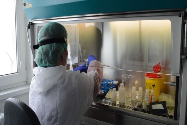 2000 de persoane din Alba Iulia vor fi testate gratuit pentru depistarea COVID-19, în vederea reîntoarcerii în siguranță în școli 