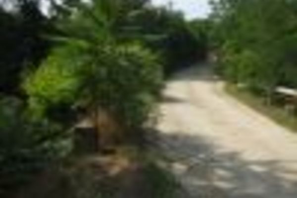 Încep lucrările la podul de peste Valea Orzii