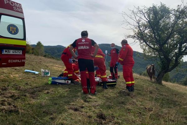 Accident mortal într-o pădure din localitatea Strâmba! Un bătrân și-a pierdut viața după ce a fost lovit de un lemn