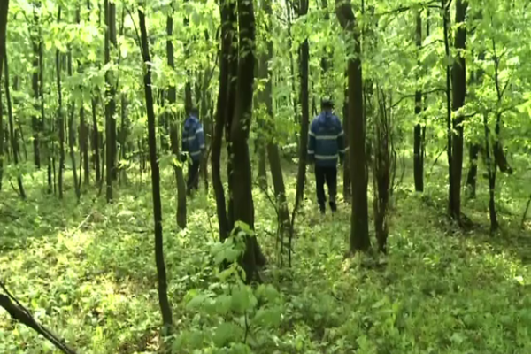 Femeie rătăcită în pădure, găsită la scurt timp de salvatori