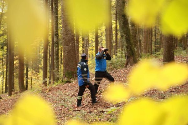 Jandarmii montani sunt la datorie