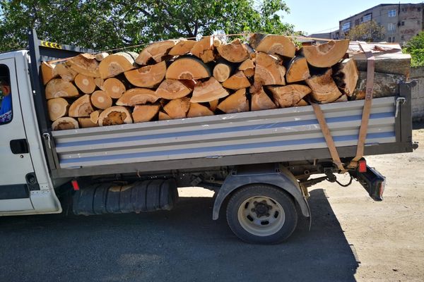 Transport ilegal de material lemnos, depistat în trafic