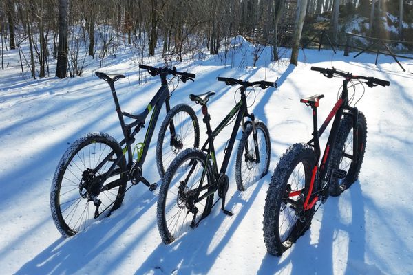 Hoți de biciclete, prinși de polițiști