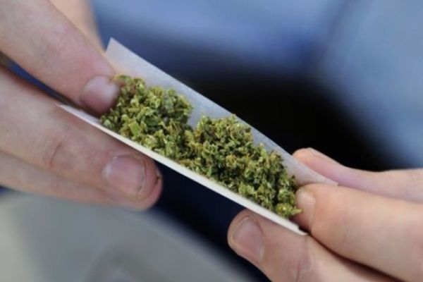 Percheziții în cazul unei grupări de traficanți de etnobotanice