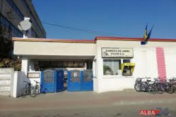 Fost director adjunct al Fabricii de Arme Cugir, găsit în incompatibilitate. A fost şi consilier local  