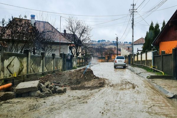 Gabriel Pleșa: ”Companiile care execută lucrări pe domeniul public trebuie să respecte regulile și pe cetățenii municipiului”