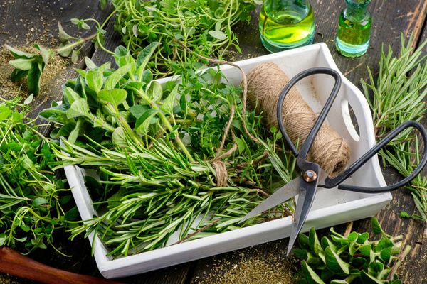 Ministerul Agriculturii propune un sprijin financiar de 3.400 de euro/ha