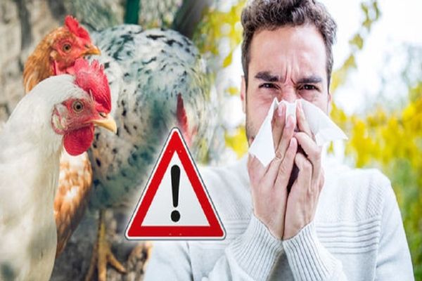 Respectarea măsurilor pentru prevenirea răspândirii gripei aviare, premisele reducerii perioadei de restricții