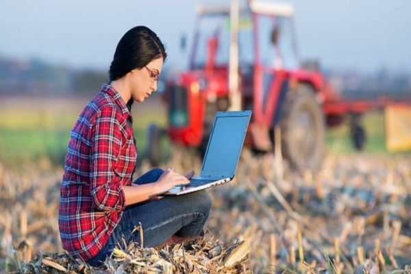 AFIR: Ghidurile solicitantului pentru Submăsurile 9.1, 4.2, și 16.4/16.4a, în consultare publică