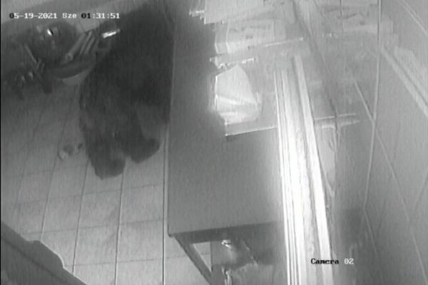 VIDEO Urs într-un restaurant din Micfalău