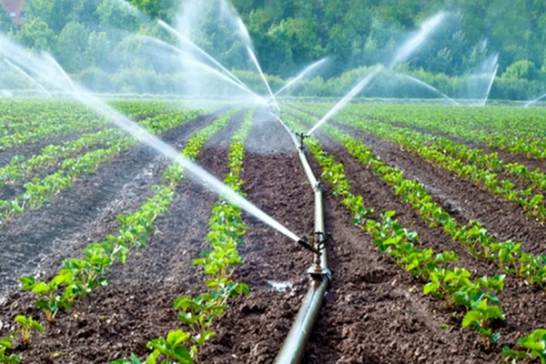 Locuitorii din Alba, atenţionaţi să nu mai ude grădinile cu apă potabilă