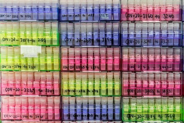 OMS a anunţat un nou sistem de denumire a variantelor Covid-19